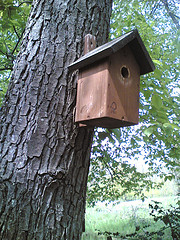 Bird House