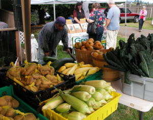 CSA vegetables