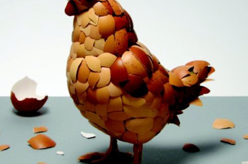 Egg shells recycled
