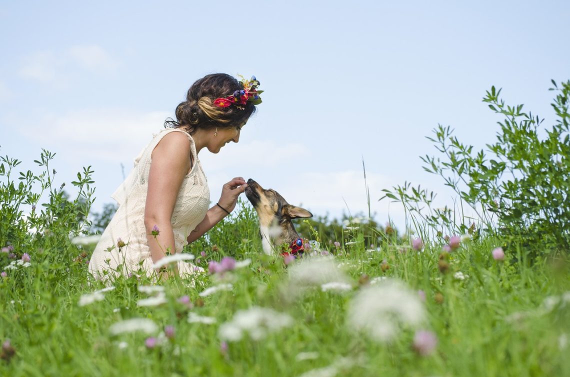 helpful herbs for pets