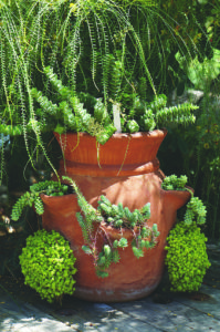 container garden