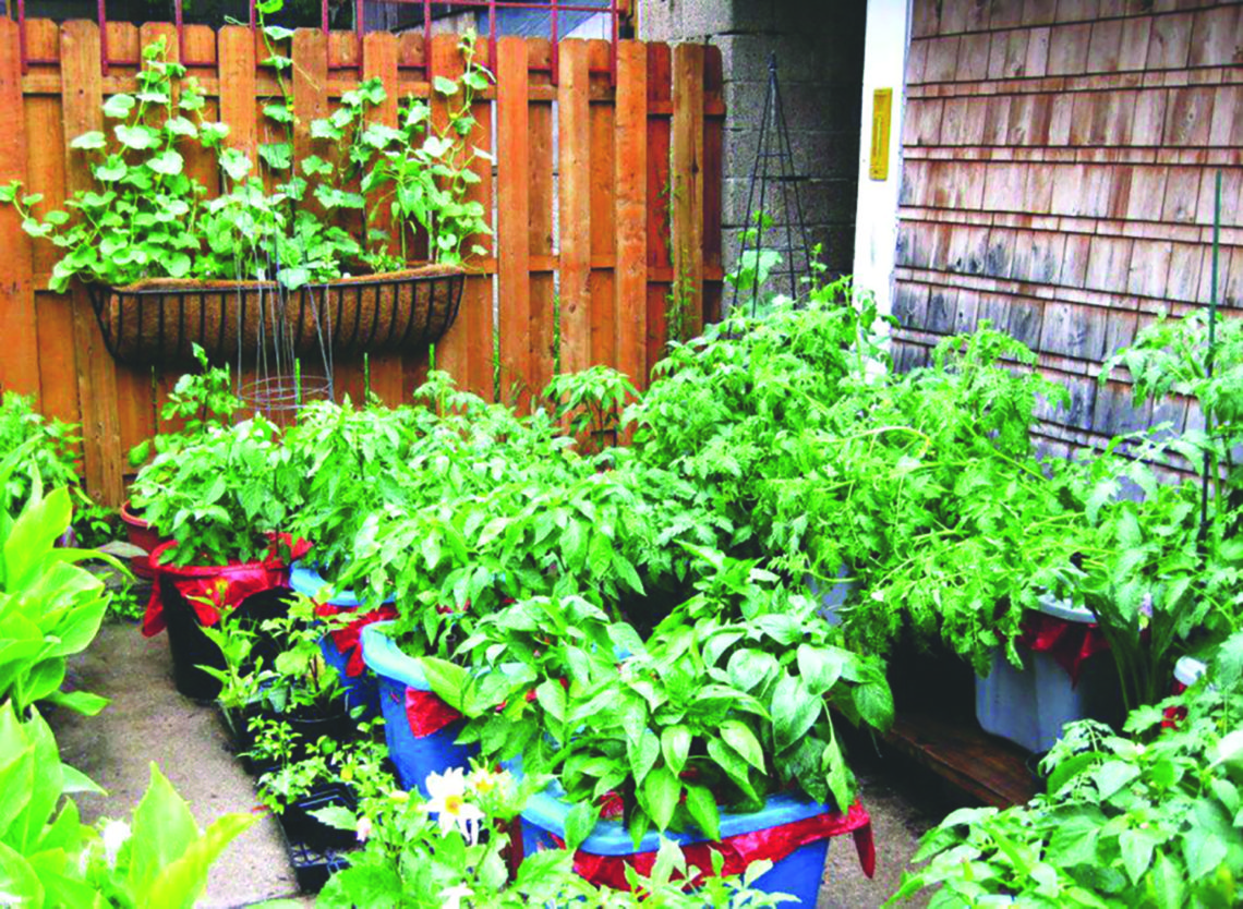 The Secret to Container Vegetable Gardening