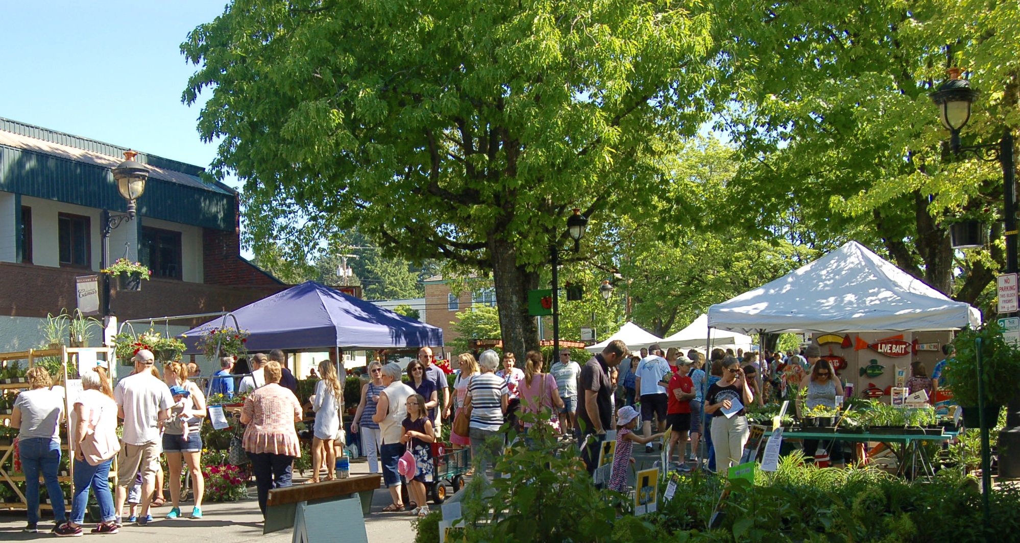 Camas Plant and Garden Fair • Green Living Journal