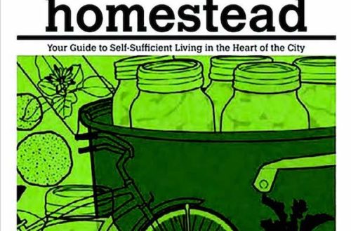 urban homestead book