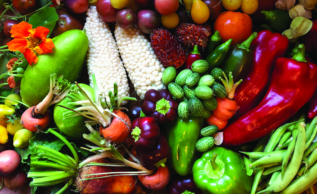 The haul of veggies