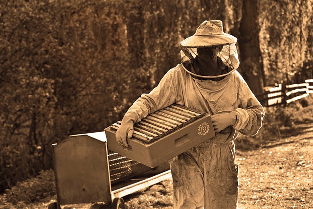 Beekeeper with hives