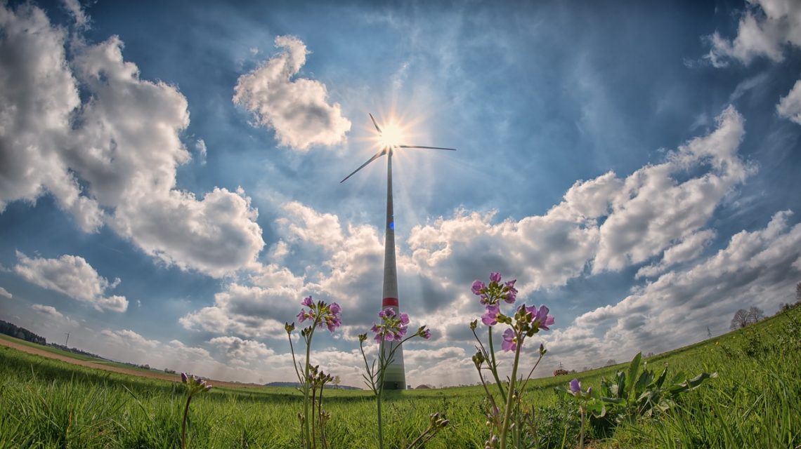 Sunny windmill