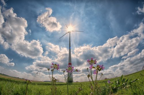 Sunny windmill