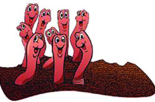 Happy Worms