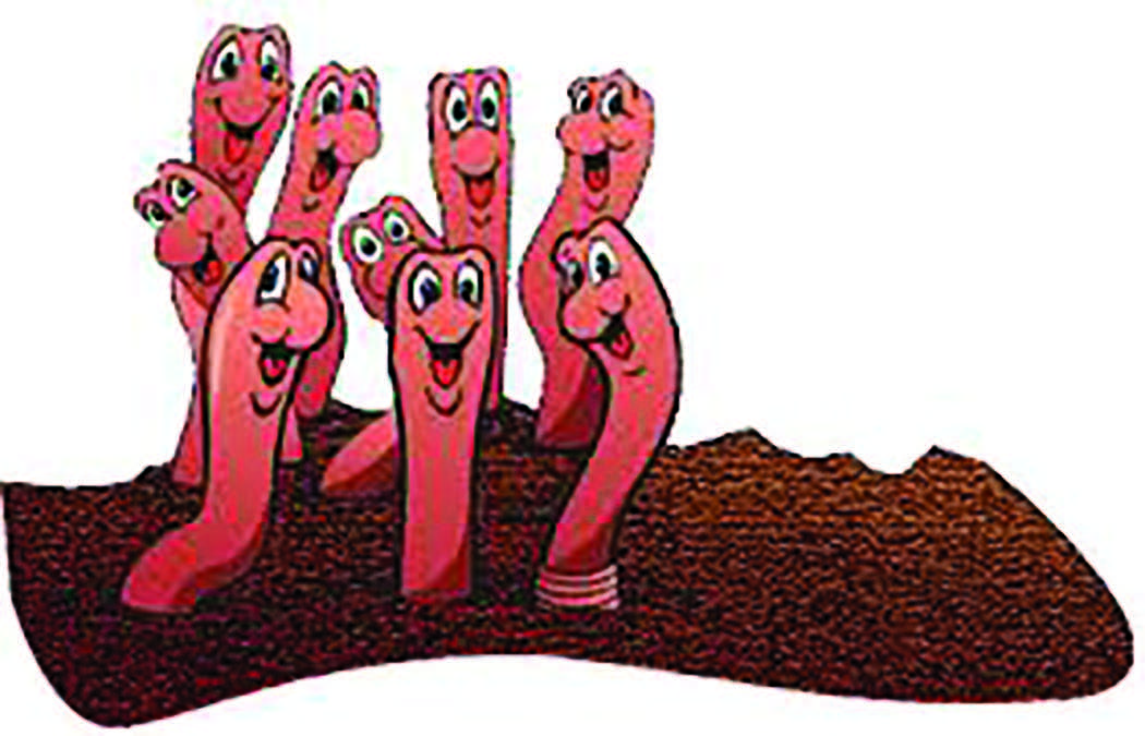 Happy Worms