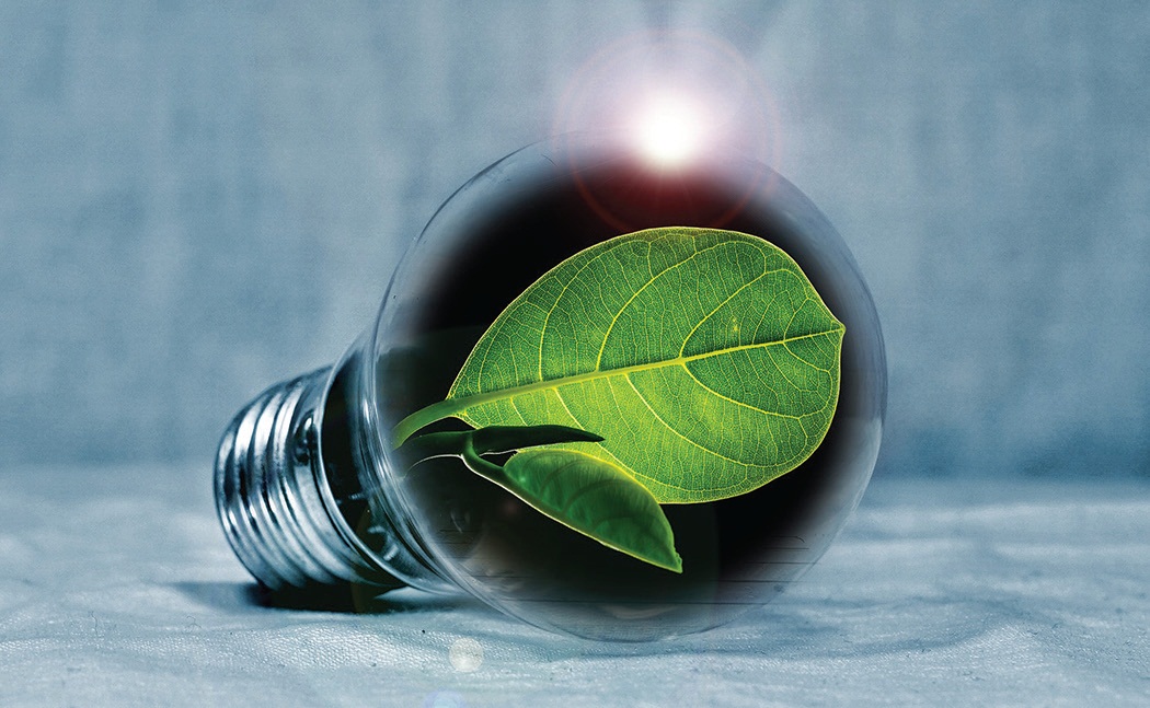 Green Leaf in Light Bulb