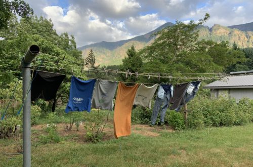 My Wash on the Clothes Line Drying
