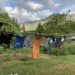 My Wash on the Clothes Line Drying