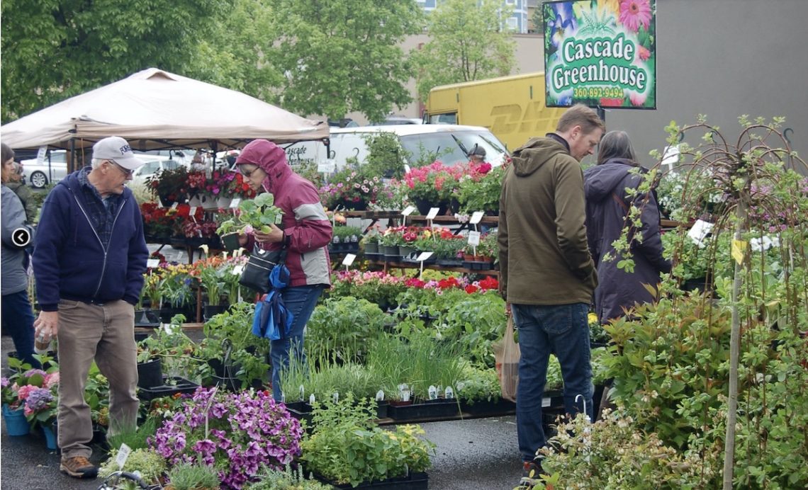 Camas Plant and Garden Fair Vendors