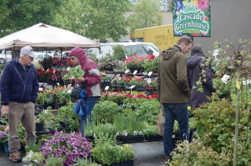 Camas Plant and Garden Fair Vendors