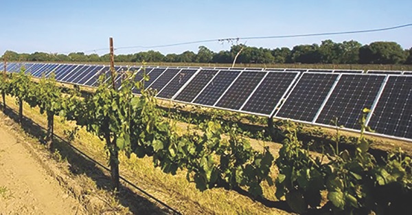 Solar-Powered Winery