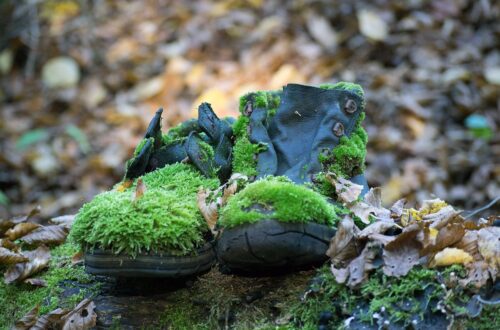 decomposing hiking boots