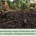 Healthy Soils