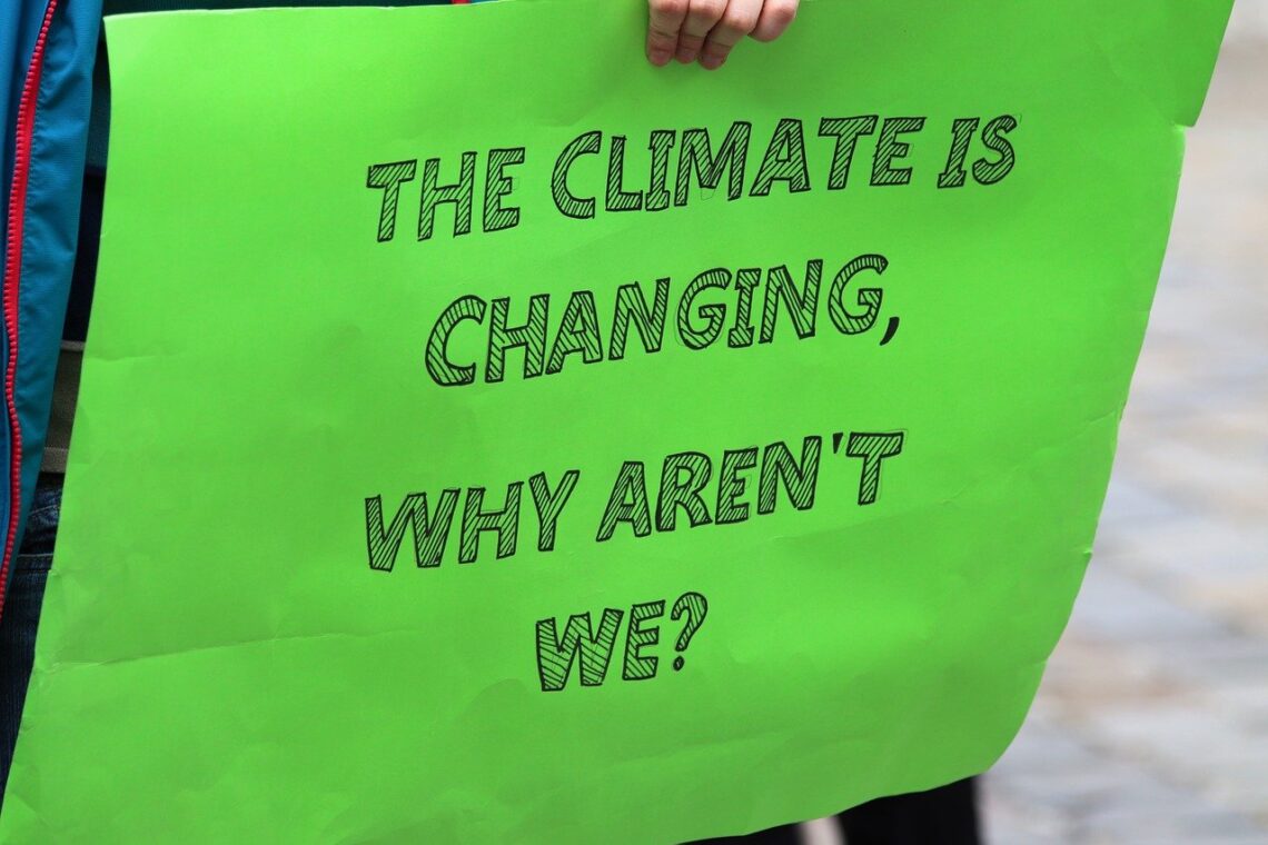 Student Climate Strike poster