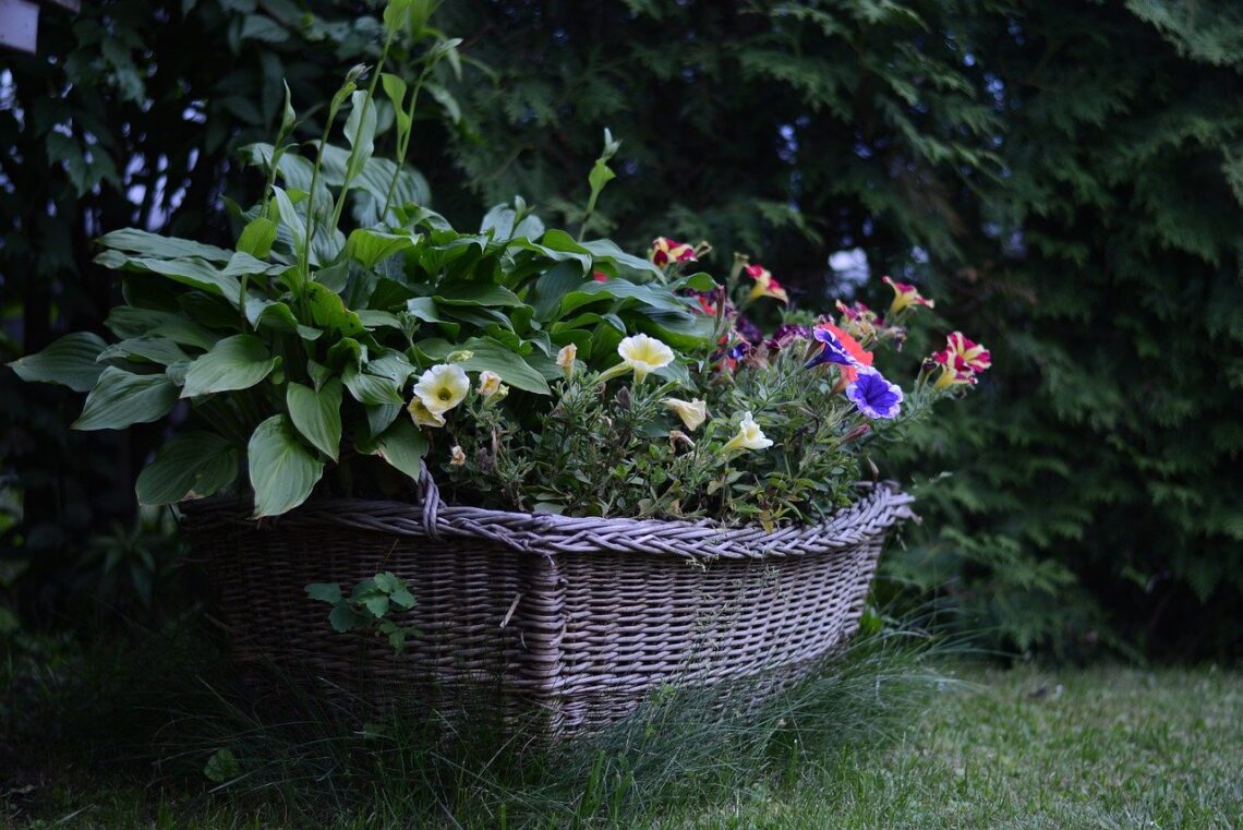 garden basket compost