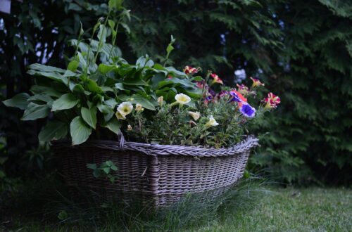 garden basket compost