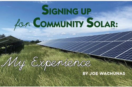 \Community Solar Panels