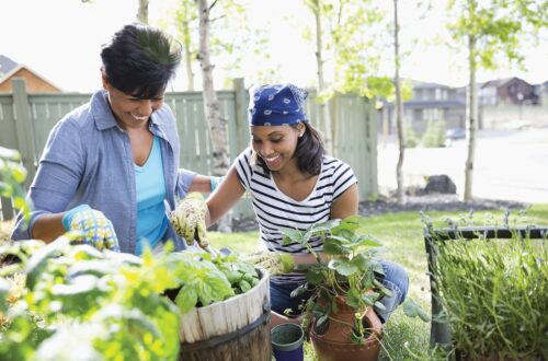 Women Gardening Herbs