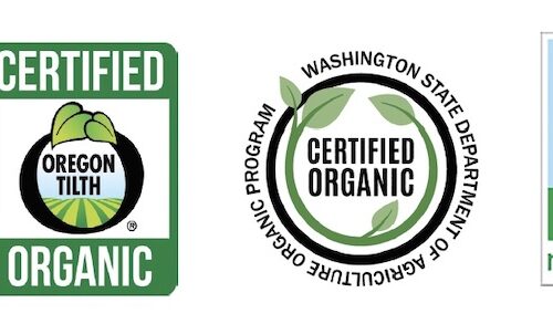 Organic Logos