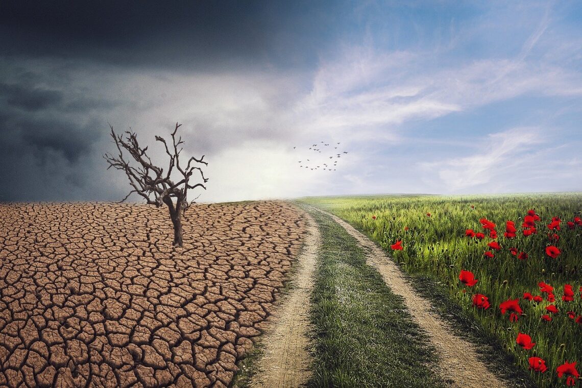 pic of climate change