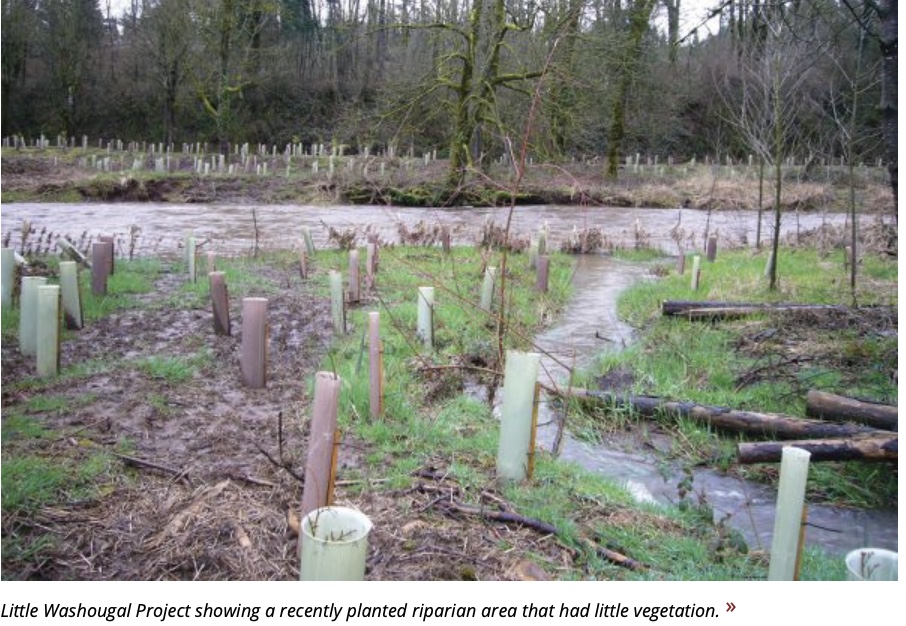 Washougal Riparian Project