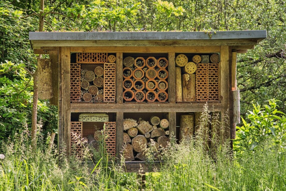 wild bee house
