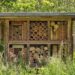 wild bee house
