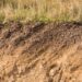 Soil for Permaculture