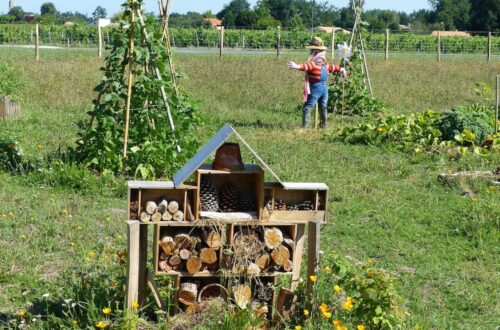 permaculture garden