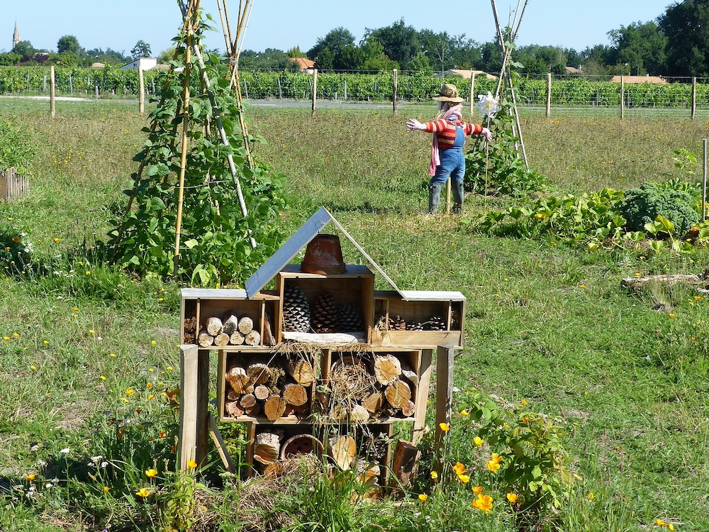 permaculture garden